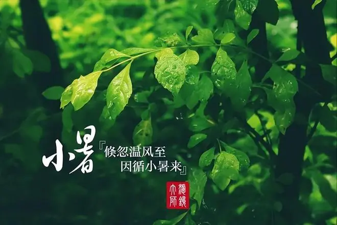 7月7日小暑，提醒中老年：1不起，2不脱，3不贪，4不吃