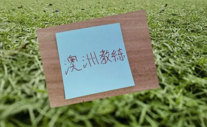 澳大利亚世界杯晋级 本轮有澳籍教练海港 北京国安 成都都赢球
