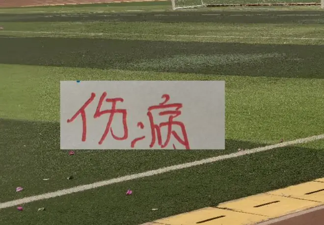 申花今年耗损有点多！联赛没打前就有伤病