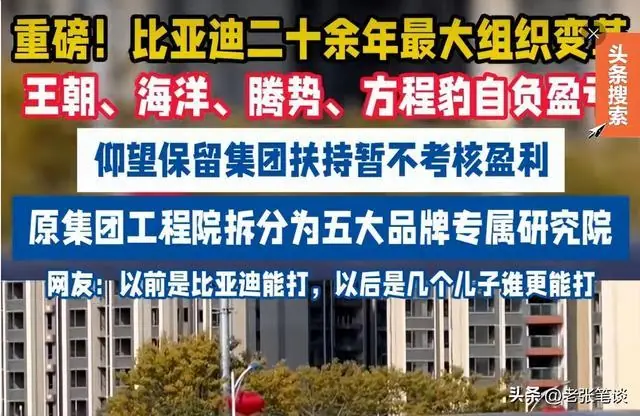 比亚迪分家后，四个品牌走出四条路