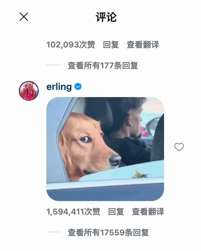 抽象!网友用一根葱模仿哈兰德,哈兰德回复了一个表情包