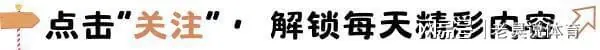 万万没想到，欠着伊朗血债的塔利班，在哈梅国葬上，也成了座上宾