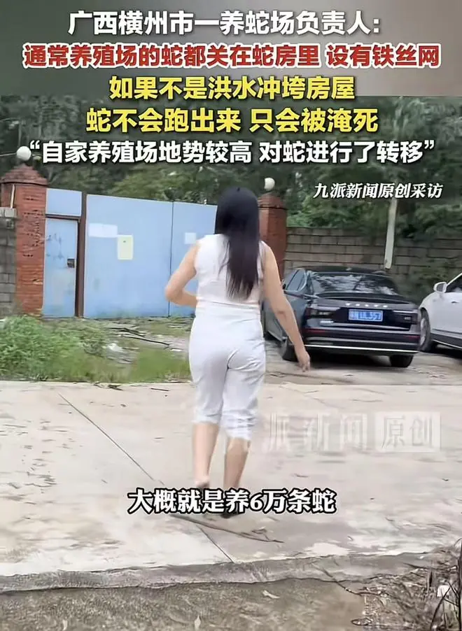 广西养蛇负责人：6万条蛇防逃措施做得很好，希望大家别抱有偏见