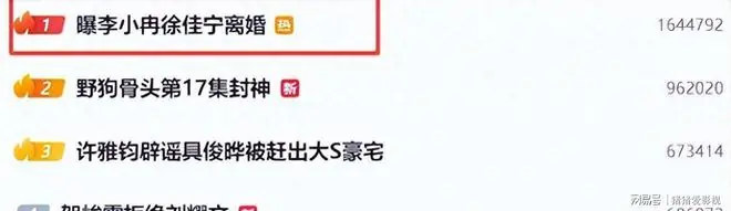 曝李小冉离婚后续，和丈夫曾陷出轨插足风波，不久前男方公开追妻