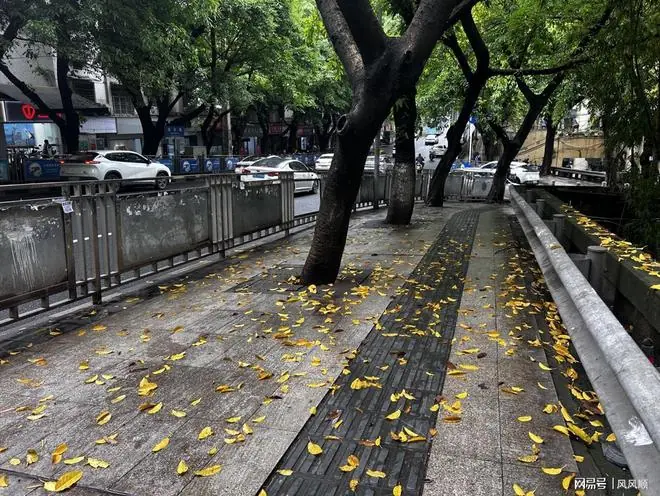 深夜利空落地！台积电首代CoPoS弃用玻璃基板