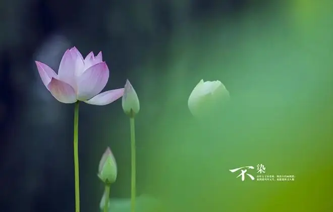 7月多吃这5道菜，正大量上市，钾含量是苹果8倍，腿脚有力精神足
