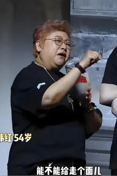 韩红说的涉嫌谎言究竟有多少？