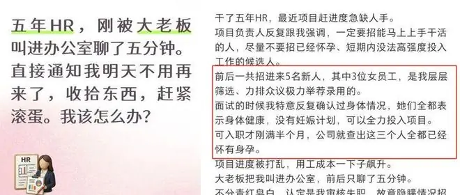 HR小姐姐力排众议招仨美女, 结果三人都怀孕, HR被光速开除!