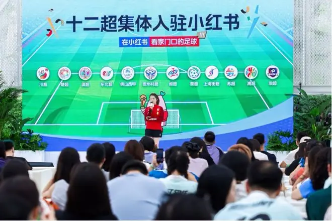 小红书世界杯数据增长示意图