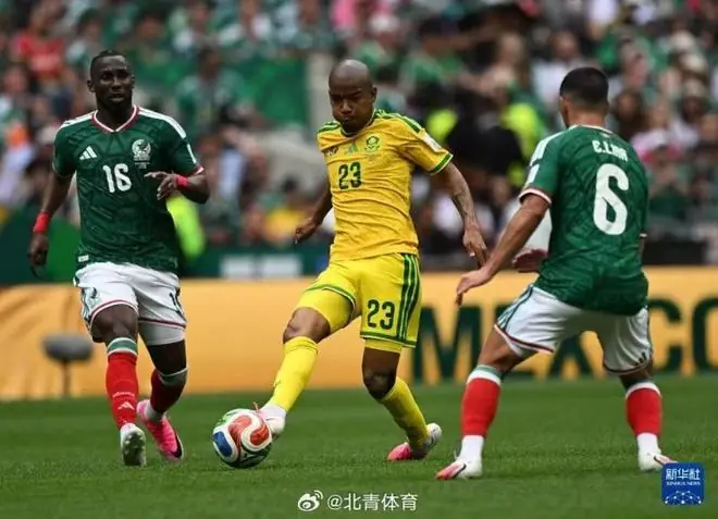 南非队世界杯球员亚当斯不幸离世