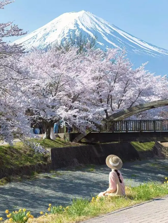 富士山没有铁丝网，这里的山河湖海也没有门票
