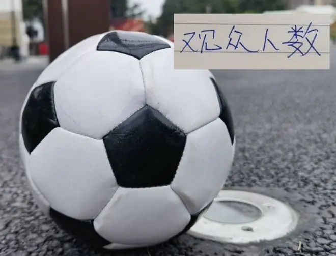 第17轮观众前3！ 大连上座人数6万多人 紧随其后是北京国安