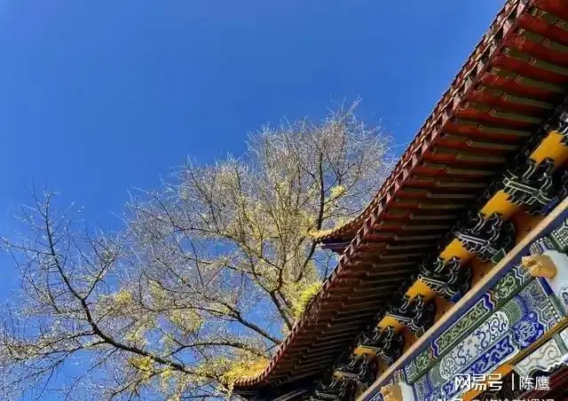一个小吏，一夜杀光全省高官