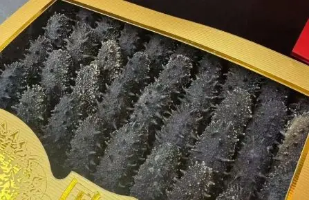 保姆偷我10盒海参，我没报警辞退了她，她临走下意识看监控，我打开一看，瞬间瘫倒在地
