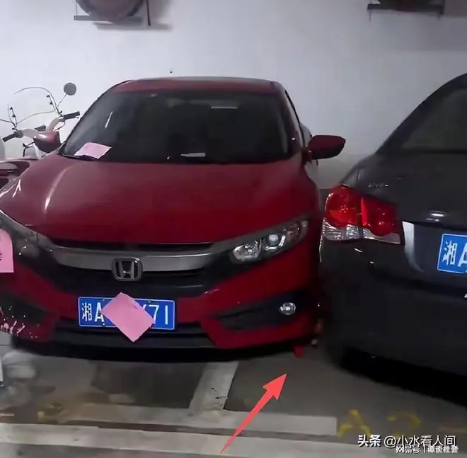 官方通报！彭某确为副处长，已被停职，父母无权势，处分还在后头