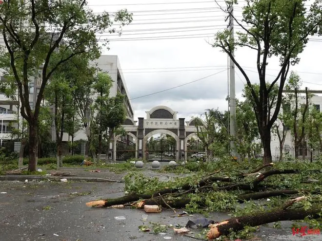 黄冈师范多位教师讲述龙卷风过境惊险瞬间：吓到跪在地上，“恐怖到你无法想象”