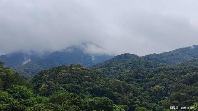 A股:紧急提醒2.5亿股民!从后天7月6日起,A股或迎一轮调整浪行情?