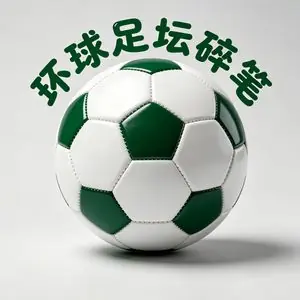 在这个等待台风的早晨，“意外”让比利时黄金一代黯然落幕。