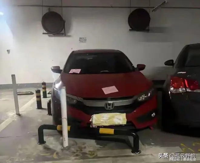 后续！彭处长被停职，男友雷某正脸曝光，身份被扒，他才是导火索