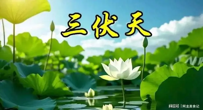 今年夏天是凉爽还是冷夏?答案来了