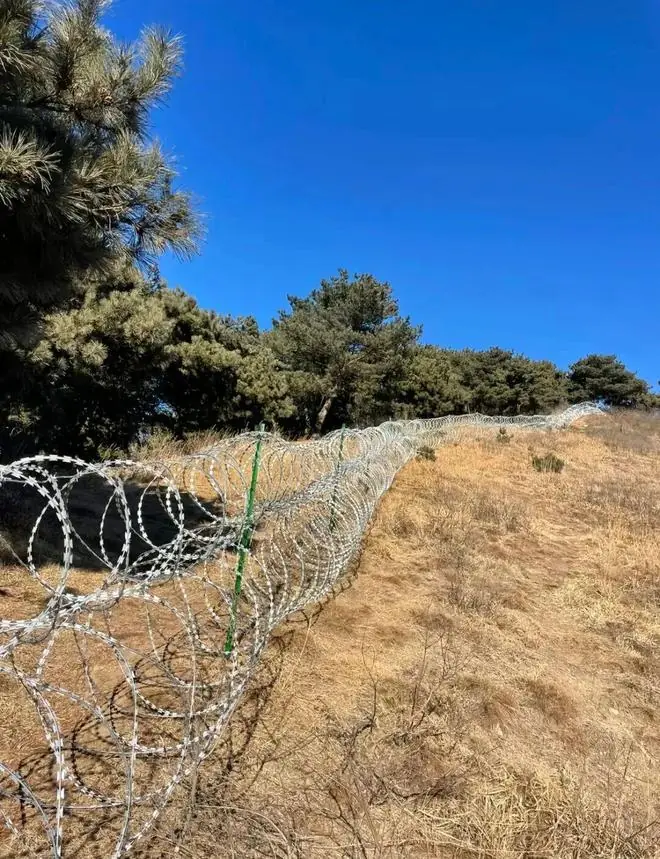 这才是135 公里刀片网囚住泰山的底层逻辑