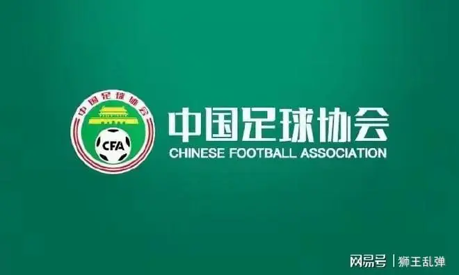 年度最大判罚闹剧！两人演戏各演各的，足协强行洗白堪称自打脸