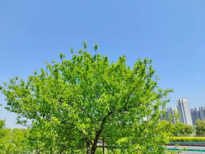 母亲去世前，告诉我一个秘密，我的亲生父亲是春风集团的董事长