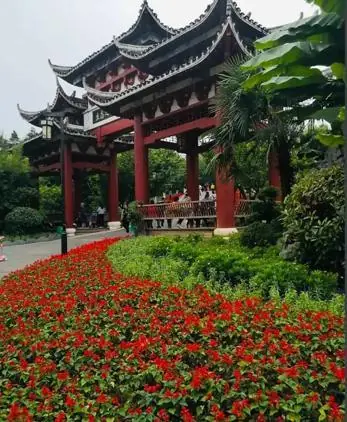 太刺痛！贵阳观山湖公园的相亲角，条件一个比一个明确，本地人看完都沉默不语。