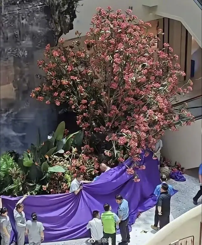 西安赛格商场坠亡事件，看得人后背发凉