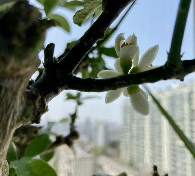 2026出梅时间已定，7月上旬正式告别梅雨，今年盛夏是烤还是蒸