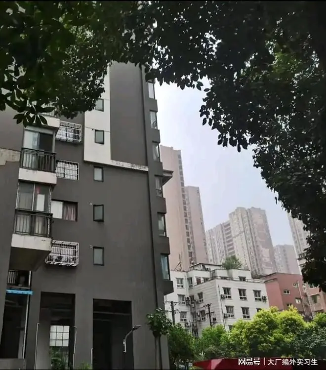 武汉男子报警举报遛狗不牵绳，转头就被警察送进精神病院67天